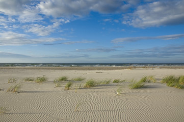 Baltic Sea coast