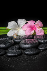 spa concept of white, pink hibiscus flower and natural bamboo on