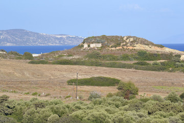 Fototapeta na wymiar Summer landscape, Greek.