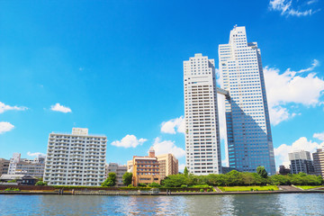 Fototapeta na wymiar The landscape of St.Lukes Garden with Sumida River