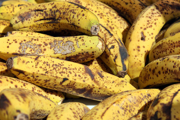 Ripe Bananas