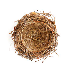 Isolated Bird Nest On white