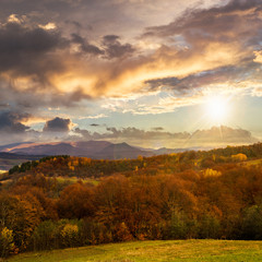 mixed forest near valley in mountains  on hillside at sunset