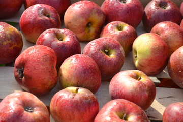 pommes