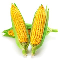 corn