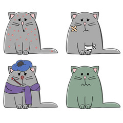 a set of four cats with different illnesses