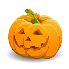 Pumpkin isolated on white. vector illustration.