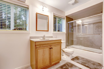 Bathroom interior with screened bath tub
