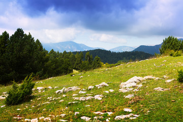 Fototapeta na wymiar highland meadow in Pyrenees. Catalonia