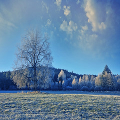 beautiful winter morning