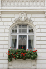 Fototapeta na wymiar Fenster an Jugendstil-Fassade