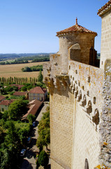 Donjon de Bassoues