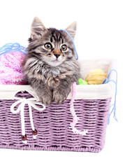 Fototapeta na wymiar Funny gray kitten and balls of thread in wicker basket,