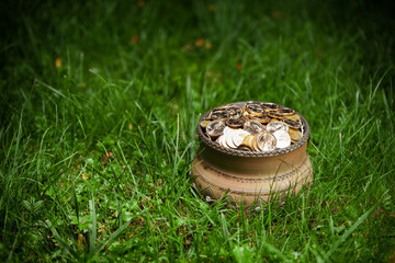 pot with golden coins, Saint Patrick's Day concept