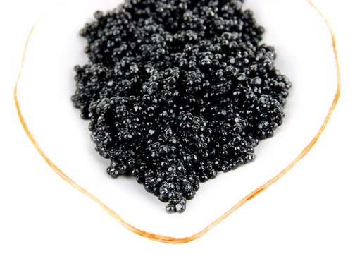Black caviar on plate isolated on white