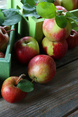 Juicy apples in box, close-up