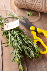 Rosemary on table close-up