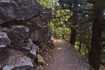 Trail through Samaria gorge, island of Crete