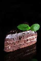Piece of chocolate cake with mint leaves