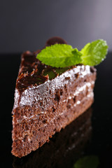 Piece of chocolate cake with mint leaves