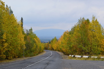 Fototapeta premium осень.дорога кандалакша-умба