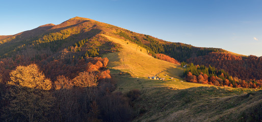 Fototapeta na wymiar Golden autumn in the mountains