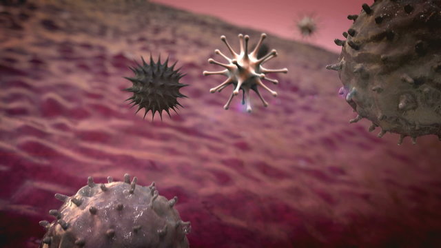 Coronavirus atack the lungs cell
