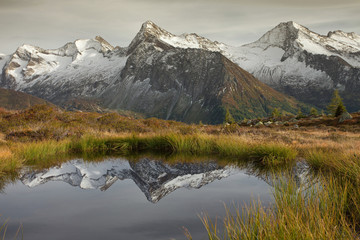Alpine reflection