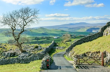 Yorkshire dales landscape england tourism uk green rolling hills