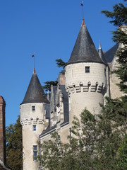 Obraz premium Indre-et-Loire Montrésor - Château renaissance