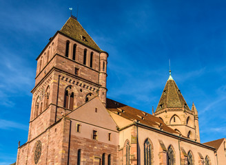Fototapeta premium Saint Thomas church in Strasbourg - Alsace, France