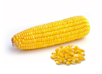 Sweet corn on white background