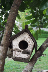 Bird house on the tree with garden background