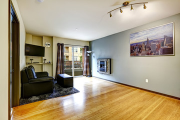 Fototapeta na wymiar Living room in modern apartment with walkout deck