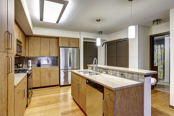Modern apartment interior. KItchen with granite tops