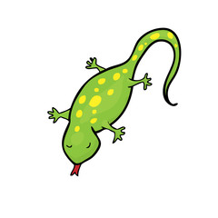 Gecko