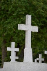white cross in cemetery