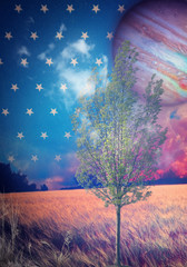 Night of stars © Rosario Rizzo