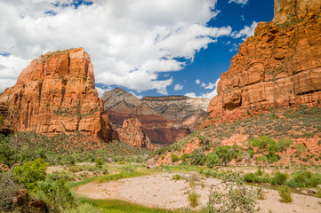 landscape from zion national park utah