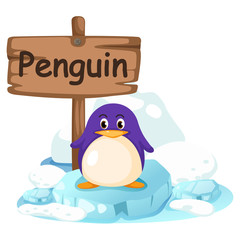 animal alphabet letter P for penguin