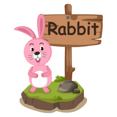 animal alphabet letter R for rabbit