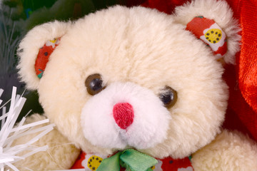Cute toy bear with christmas gift