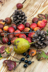 autumn harvest fallen fruit and berries