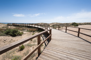 Fototapeta na wymiar Wooden walkway over dunes, Elche, Spain