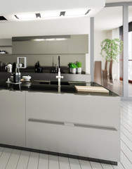 Stainless steel designed kitchen (focus)