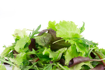 Green and red leaf of lettuce.