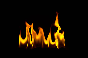 Fire flames on a black background