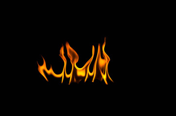 Fire flames on a black background