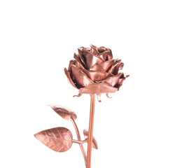 Beautiful bronze rose.
