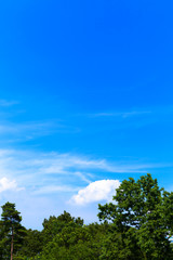 Obraz premium Blue sky, white clouds and green leaves